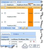 DataForm.NET