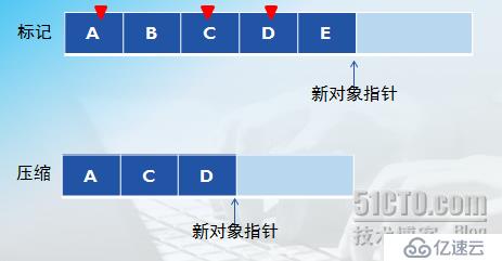 .NET Framework 的垃圾回收器管理應用程序的內(nèi)存分配和釋放