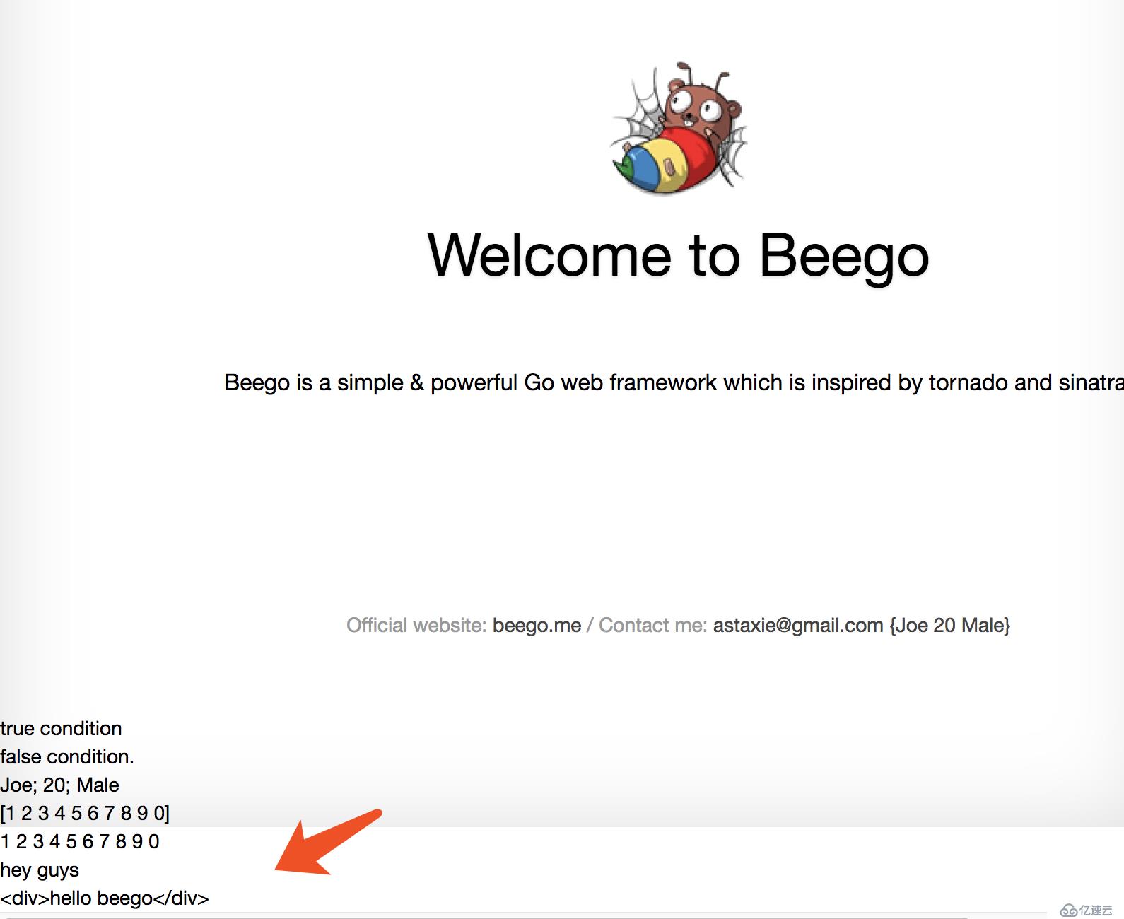 Beego模板用法-创建beeblog