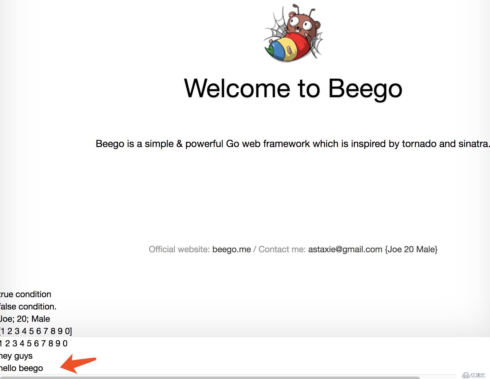 Beego模板用法-创建beeblog