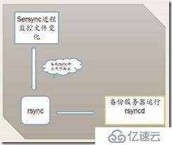 rsync+sersync实现数据实时同步