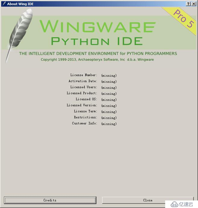 Wing IDE pro5.0.7-1 (rev 31559) 破解方法（仅供测试，请使用正版软件）