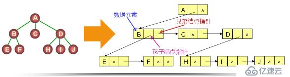 树到二叉树的转换（三十五）