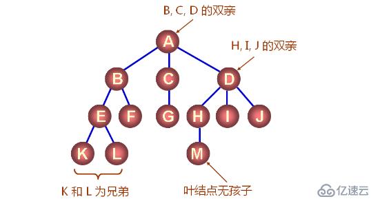 數(shù)據(jù)結(jié)構(gòu)之樹(shù)（三十四）