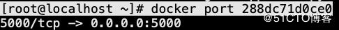 如何docker容器运行web应用？