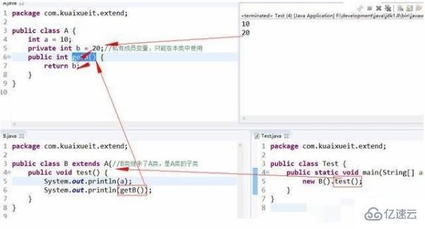 java中的变量会可以被继承吗