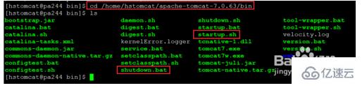 linux启动apache tomcat的方法