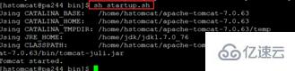 在linux系统中启动tomcat的方法