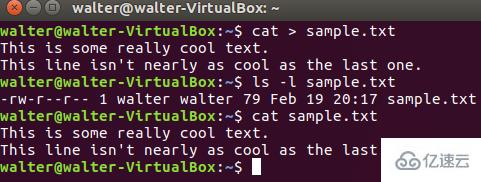 linux系统打开txt文件的两种方法