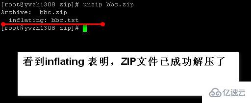 linux如何解压zip文件