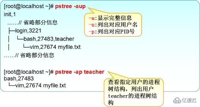 linux查看进程的方法