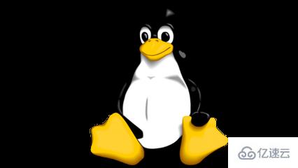 linux入门基础知识介绍