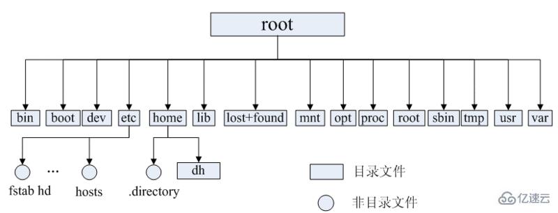 linux入门基础知识介绍