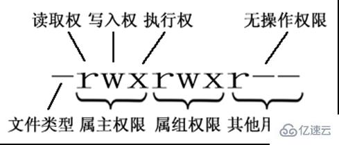 linux入门基础知识介绍