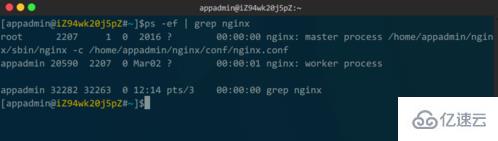 linux查看nginx是否启动的方法