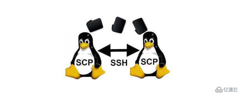 使用Linux中SCP命令安全地傳輸文件的方法