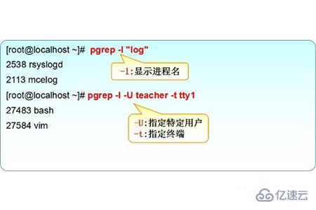 linux查看进程命令的方法