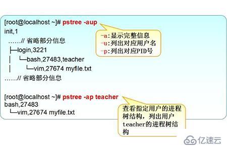 linux查看进程命令的方法