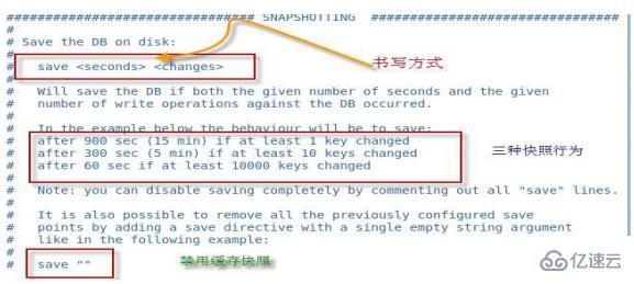 Redis的持久化和主從復(fù)制機(jī)制是什么