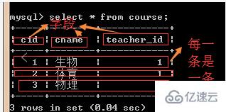 Mysql数据库中基本操作示例