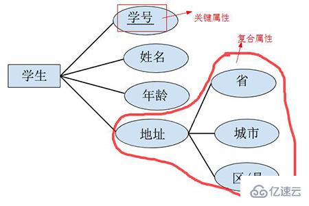 数据库中E-R图是如何组成的