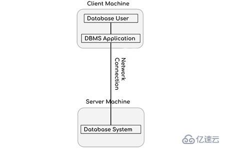 DBMS体系结构的三种类型分别是什么