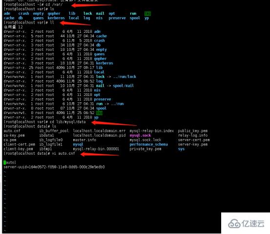 cnetos7系统中搭建mysql主从服务的步骤