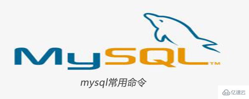 mysql常用知识点总结