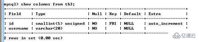 mysql如何创建一个表