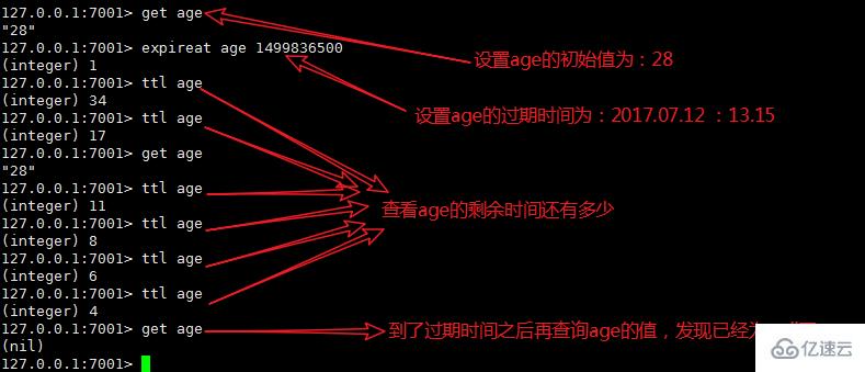 Redis的过期机制