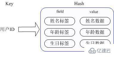 redis的主要應用場景有哪些