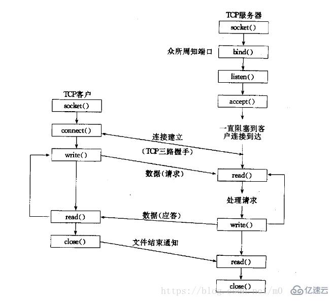 socket套接字的案例分析