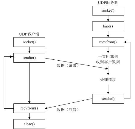 Python中UDP和TCP协议有什么用