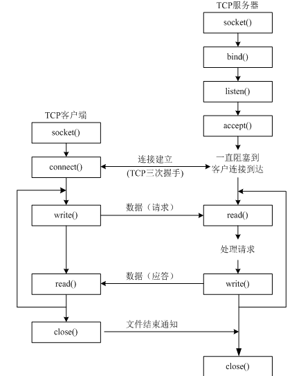 Python中UDP和TCP协议有什么用