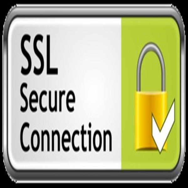 查看网站的ssl证书的方法