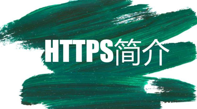 https訪問表示什么