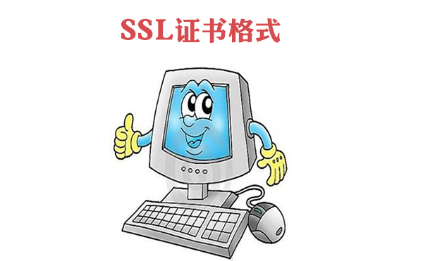 SSL证书格式是怎样的