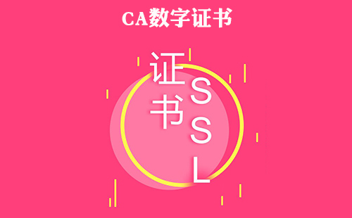 关于CA数字证书的详细简介