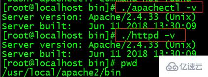 用什么命令查看apache的版本信息