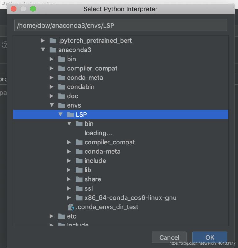 Pycharm使用远程linux服务器conda/python环境在本地运行的方法(图解）)