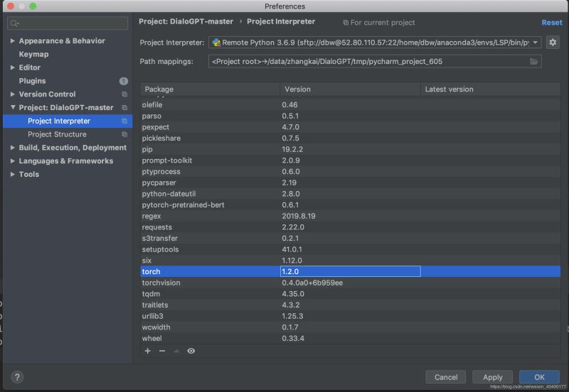 Pycharm使用远程linux服务器conda/python环境在本地运行的方法(图解）)