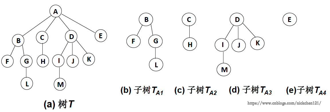 python中树是什么