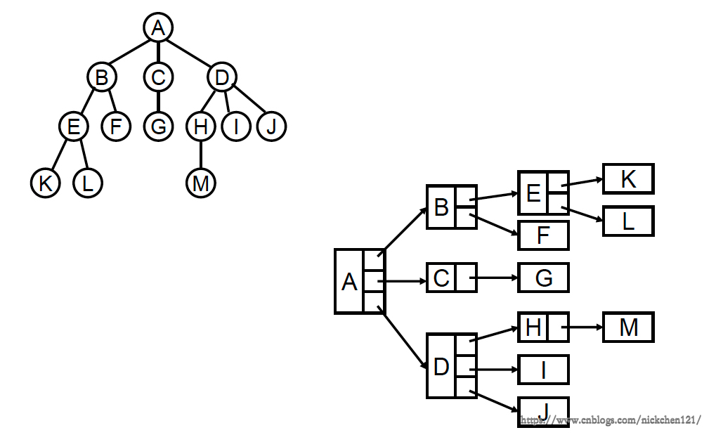 python中树是什么