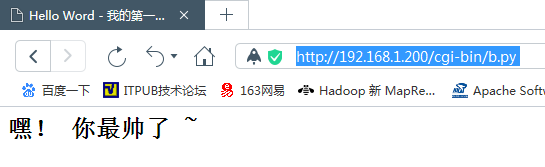 使用python如何实现CGI环境搭建