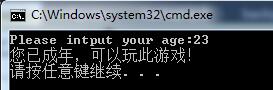 Python之用户输入的实例