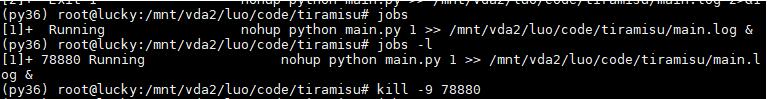 python nohup如何实现远程运行不宕机