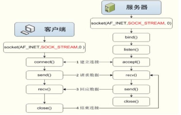 TCP socket怎么在Python中使用