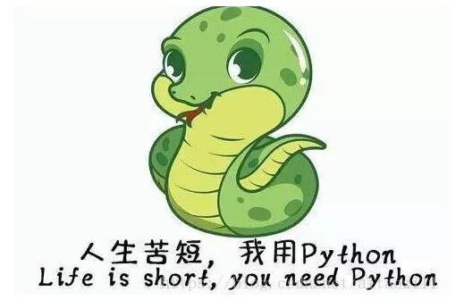 一份python入门应该看的学习资料