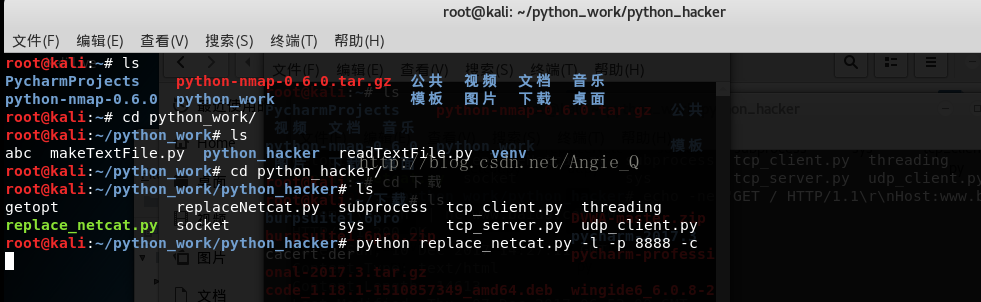 Python黑帽子取代netcat的示例分析