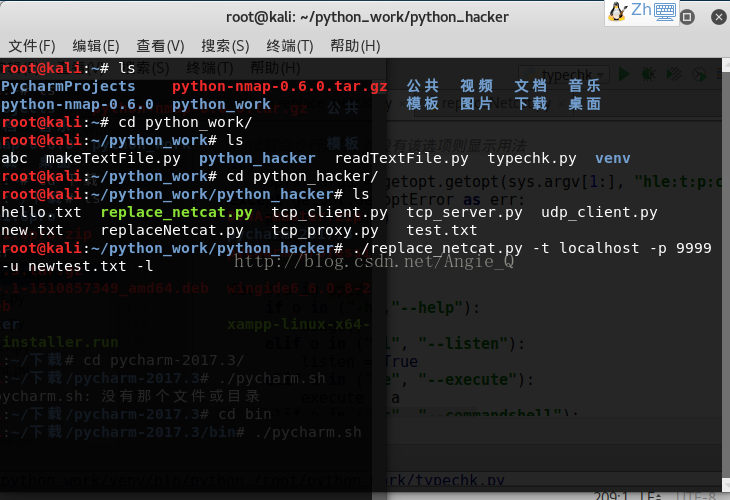 Python黑帽子取代netcat的示例分析